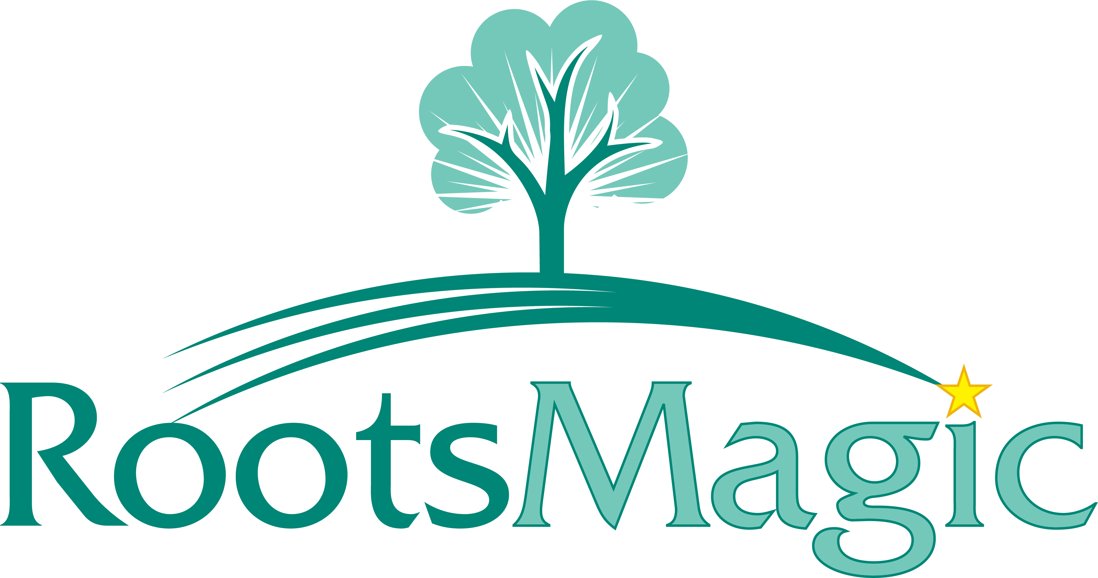 RootsMagic, Inc.